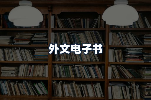 外文电子书
